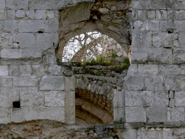 Jumièges (6) mars 2012